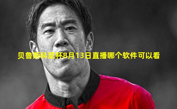贝鲁斯科尼杯8月13日直播哪个软件可以看