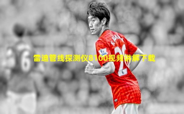 雷迪管线探测仪8100视频讲解下载