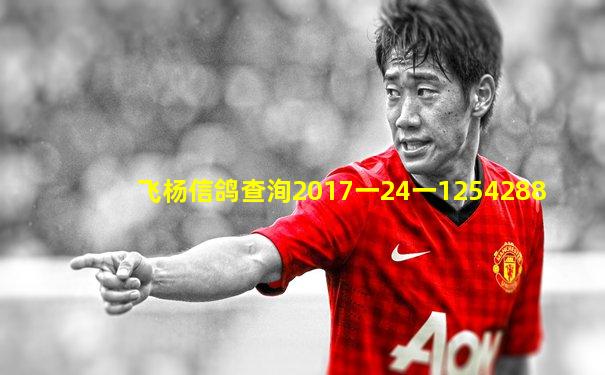 飞杨信鸽查洵2017一24一1254288